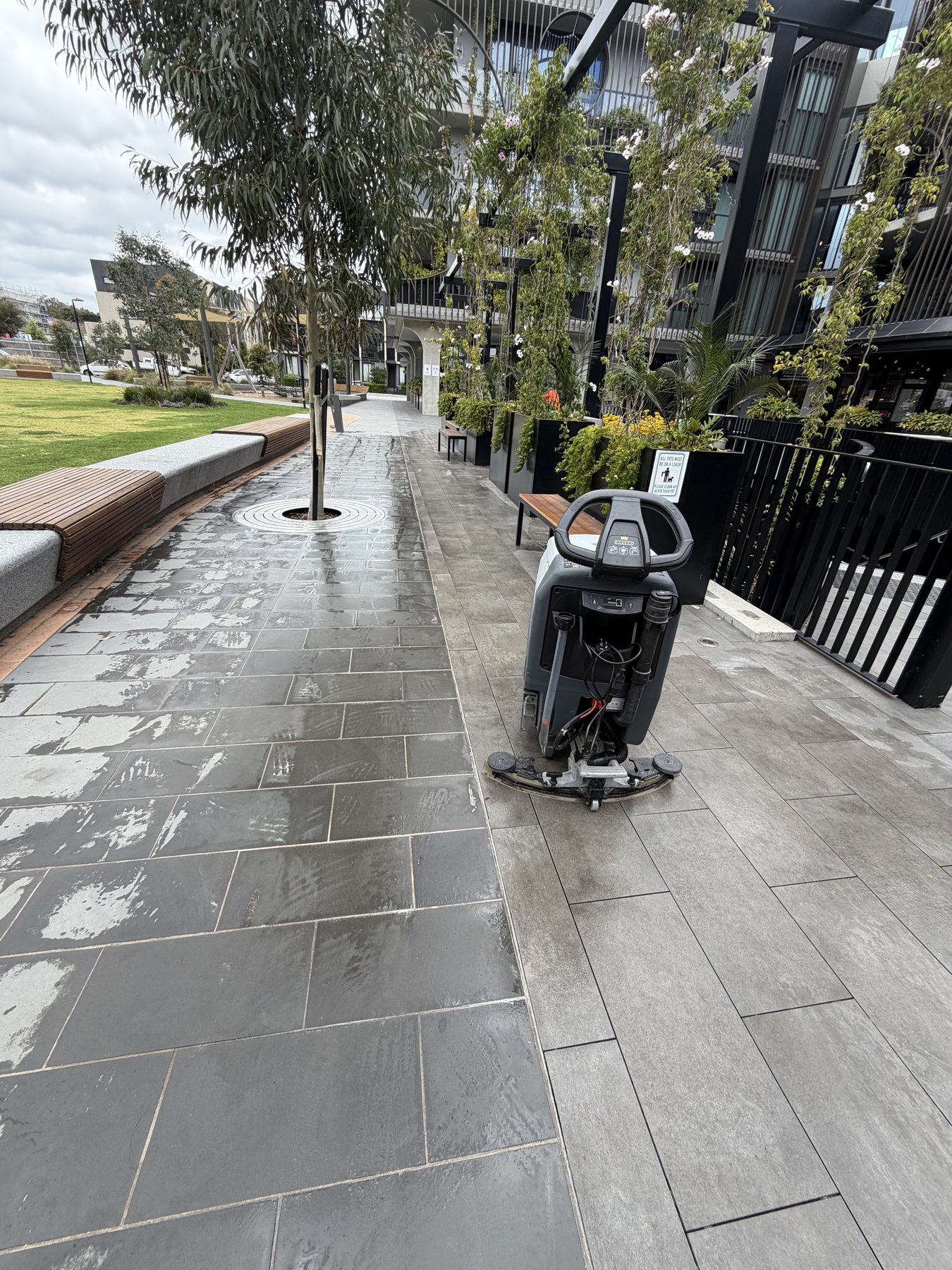 Courtyard and common area presentation